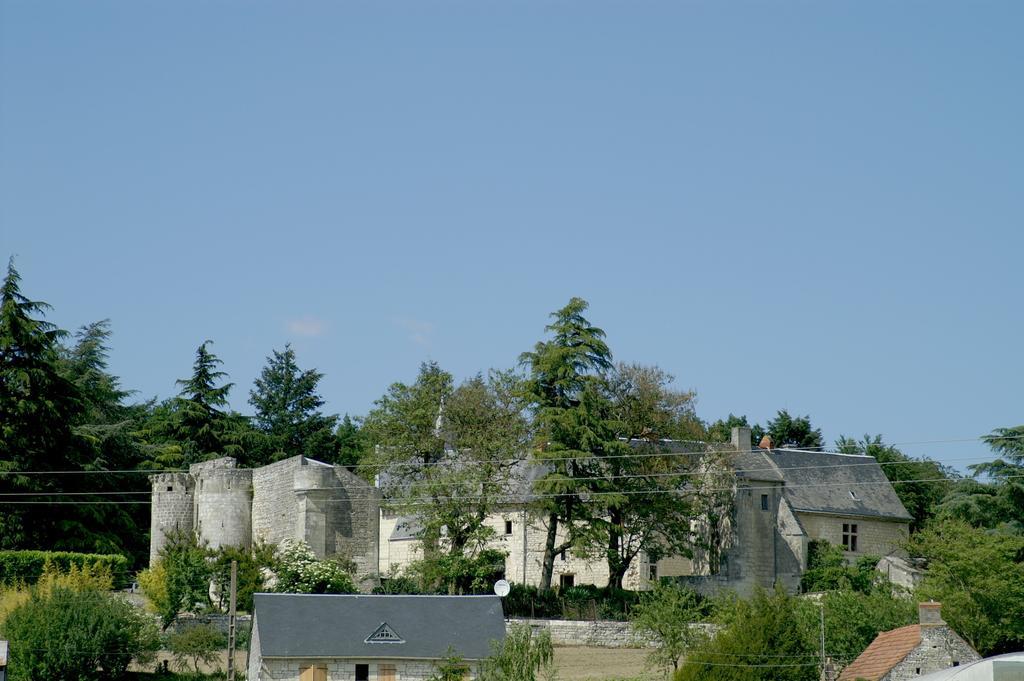 Bed and Breakfast Chateau De La Roche Martel Roiffe Экстерьер фото